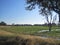 OPEN FLOODED GRASSLAND IN AN AFRICAN LANDSCAPE