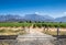 Open gate gravel road entrance to grape vines vineyard on a hot