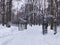 Open gates to snow covered city park