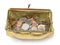 Open Gold Metallic Coin Purse Overhead With Shadow