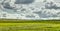 Open grassland with cloudscape and shield volcano in background. Iceland.