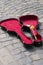 Open Guitar Case with Money
