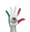 Open hand , Maxico flag painted