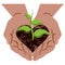 Open hands, pressed together holding lump of brown earth in shape of heart with tender young green sprout with four leaves.