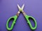 Open herb scissors with bright green plastic handle
