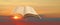 Open holy bible book scripture god word testament sky clouds skies sunset psalms kingdom heavens heaven prayer pray jehovah jesus