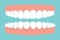 Open human mouth with jaws full of teeth, gums isolated. Dental, stomatology concept. Flat style, bright medical clipart
