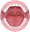 Open human mouth with tongue uvula full teeth upper lower jaw