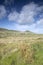 Open Landscape on Dingle Peninsula