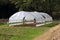 Open large garden greenhouses made of metal pipes partially covered with semi transparent nylon built in family house backyard