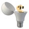 Open light bulb with dollar sign inside. Money success concept.