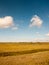 open marshland landscape scene with blue skies, clouds, and grass