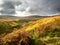 Open moorland with a stream looking towards Little Whernside