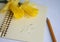 Open notebook with a drawing of heart and a daffodil