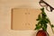 An open notebook made of kraft paper with herbs, glasses and a cup of tea on the side of a bright wooden table