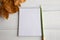 Open notebook in a ruler on a blank page for writing new plans and a pencil lies next to a white wooden table, next to autumn