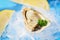 Open oyster shell with herb spices lemon parsley - Fresh oysters seafood on ice background