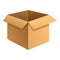 Open parcel box icon, cartoon style