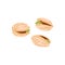 Open pistachio nut in hard shell isolated pistache