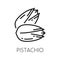 Open pistachio nut in hard shell outline icon