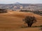 Open plain in Hita, Spain