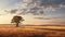 open prairies landscape lone