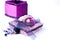 Open purple gift box with a rose isolated.