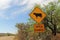 Open Range Cattle Crossing Warning in Arizona