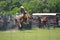 Open Range Rode Saddle Bronc Riding