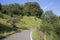 Open Road, Picos de Europa Mountains; Austurias