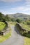Open Road at Watendlath; Lake District