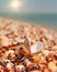 Open seashell lying on sall shells cover in front of horizon line with bright sun