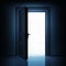 Open single door from dark to light space 3D