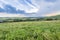 Open Skies over Alberta Foothills