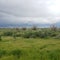 Open space if green on the desert stormy day