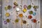 Open spice jars viewed from top view showing cinnamon, sesame, curry, cayenne, oregano, peppercorns, dried bay leaves, turmeric