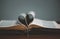 Open spiritual holy bible book with heart shape page folded in the middle