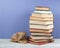 Open stacking book, hardback colorful books on wooden table and blue background. Back to school. Copy space for text