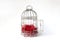 Open Steel Bird Cage with Pieces of Red Paper as Nest Isolated on White Background