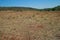 OPEN STRETCH OF GRASSLAND WITH HILLS IN BACKGROUND