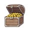 Open treasure chest filled with golden coins