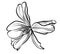 An open tulip flower. The drawing is realistic black and white. A design element.