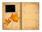 Open vintage photoalbum for photos with autumn foliage