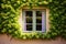 open window bordered by ivy on a quaint cottage