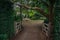 An open wooden gate on the farm leading into a bright cozy forest