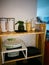 Open wooden shelves in the kitchen, pantry. View of the organized kitchen