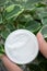 Opened box with mineral powder in female hand on background of plants