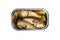 Opened can with sardines fish isolated with clipping path