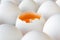 Opened chicken egg with yolk in paper tray closeup