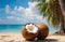 Opened coconut on the sandy beach